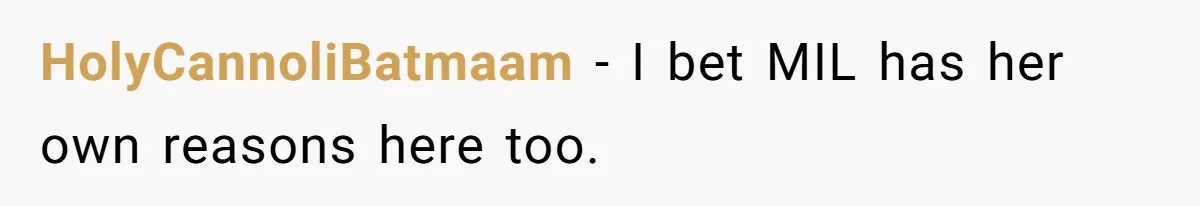 HolyCannoliBatmaam − I bet MIL has her own reasons here too.