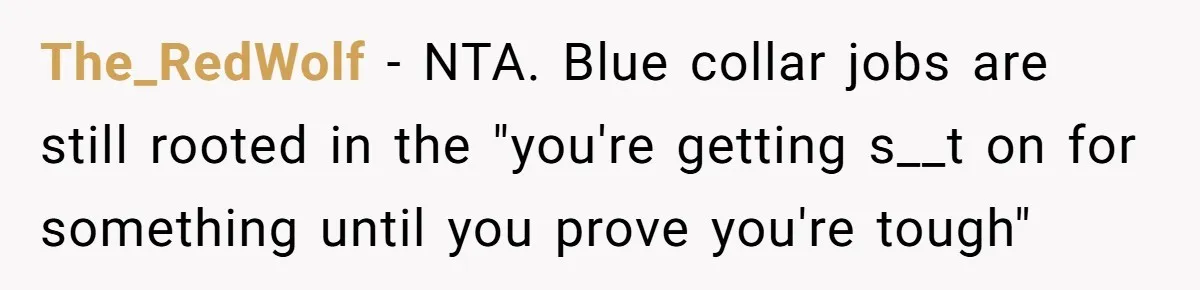 The_RedWolf − NTA. Blue collar jobs are still rooted in the "you're getting s__t on for something until you prove you're tough"