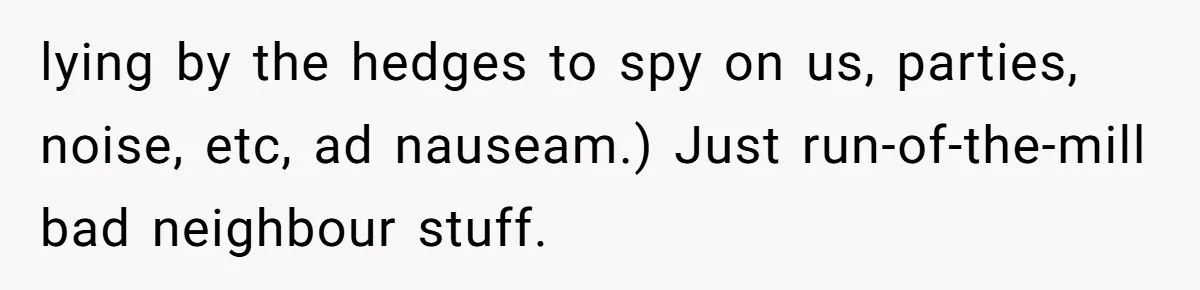 lying by the hedges to spy on us, parties, noise, etc, ad nauseam.) Just run-of-the-mill bad neighbour stuff.