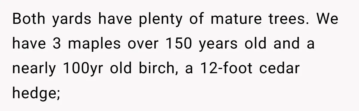 Both yards have plenty of mature trees. We have 3 maples over 150 years old and a nearly 100yr old birch, a 12-foot cedar hedge;