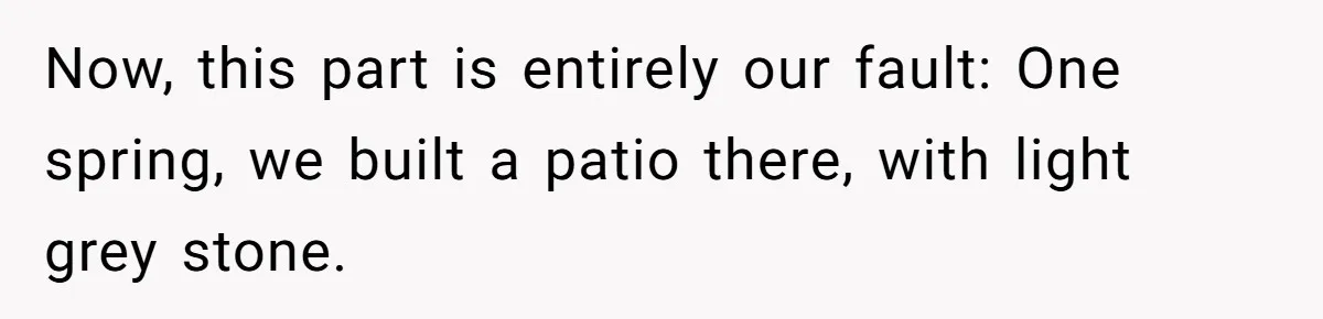 Now, this part is entirely our fault: One spring, we built a patio there, with light grey stone.