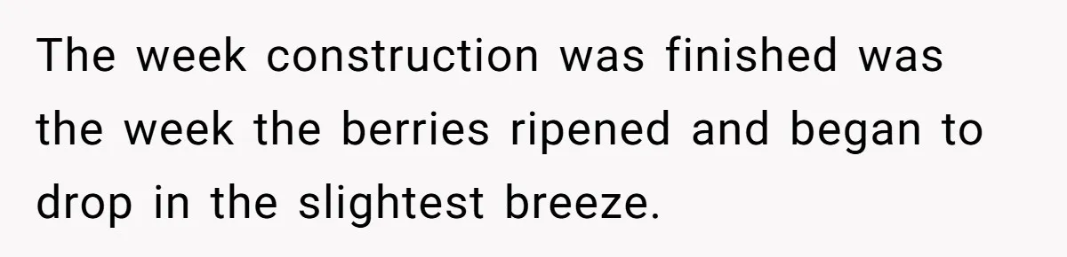 The week construction was finished was the week the berries ripened and began to drop in the slightest breeze.