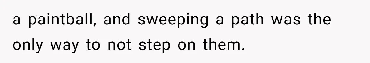 a paintball, and sweeping a path was the only way to not step on them.