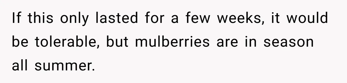 If this only lasted for a few weeks, it would be tolerable, but mulberries are in season all summer.