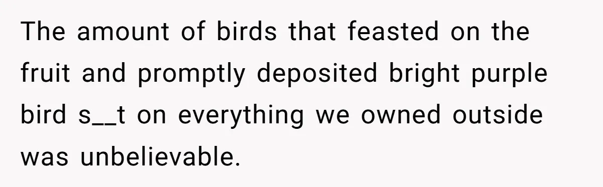 The amount of birds that feasted on the fruit and promptly deposited bright purple bird s__t on everything we owned outside was unbelievable.