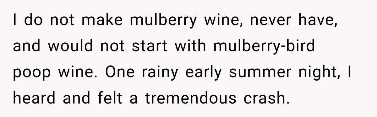 I do not make mulberry wine, never have, and would not start with mulberry-bird poop wine. One rainy early summer night, I heard and felt a tremendous crash.