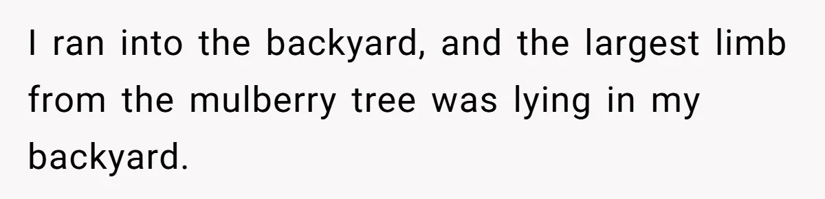 I ran into the backyard, and the largest limb from the mulberry tree was lying in my backyard.