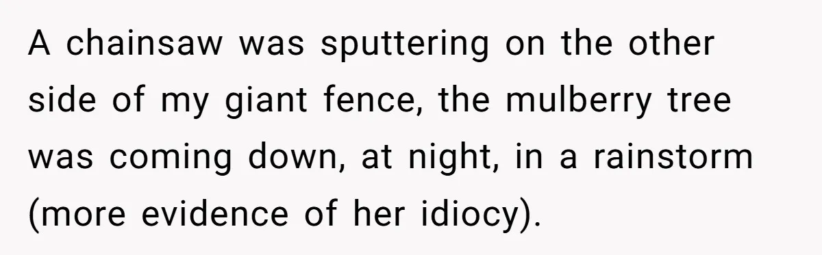 A chainsaw was sputtering on the other side of my giant fence, the mulberry tree was coming down, at night, in a rainstorm (more evidence of her idiocy).