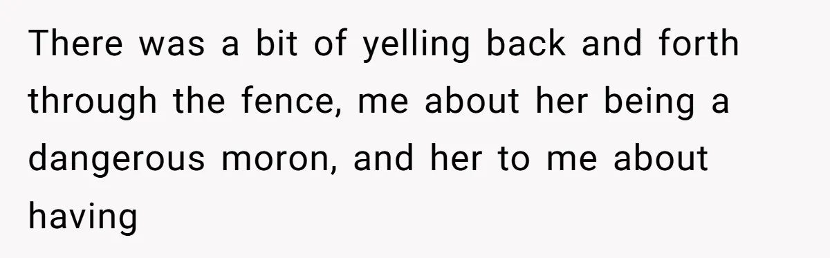 There was a bit of yelling back and forth through the fence, me about her being a dangerous moron, and her to me about having