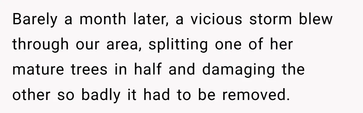 Barely a month later, a vicious storm blew through our area, splitting one of her mature trees in half and damaging the other so badly it had to be removed.