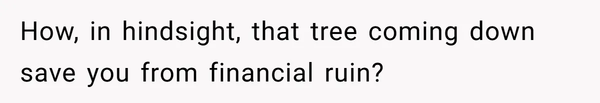 How, in hindsight, that tree coming down save you from financial ruin?