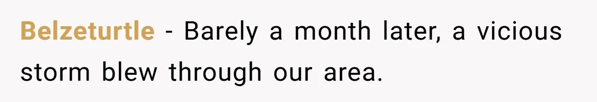 Belzeturtle − Barely a month later, a vicious storm blew through our area.