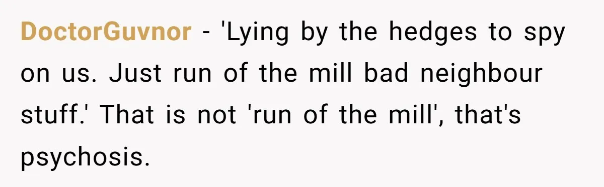 DoctorGuvnor − 'Lying by the hedges to spy on us. Just run of the mill bad neighbour stuff.' That is not 'run of the mill', that's psychosis.