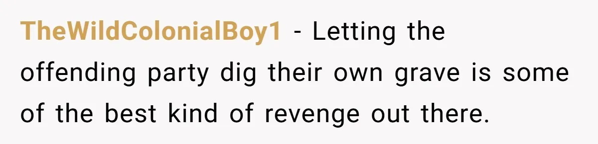 TheWildColonialBoy1 − Letting the offending party dig their own grave is some of the best kind of revenge out there.