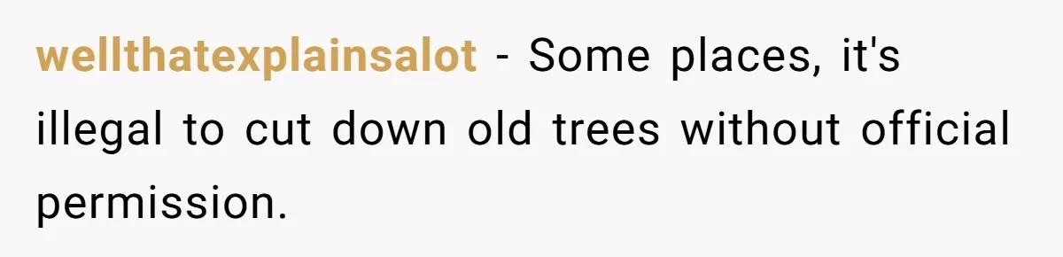 wellthatexplainsalot − Some places, it's illegal to cut down old trees without official permission.