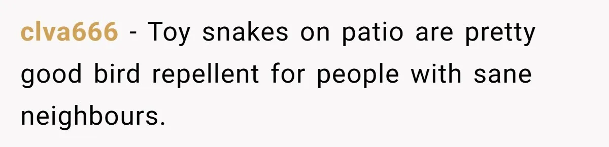 clva666 − Toy snakes on patio are pretty good bird repellent for people with sane neighbours.
