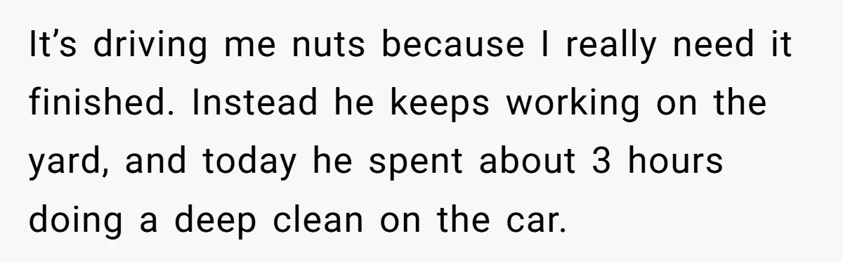 It’s driving me nuts because I really need it finished. Instead he keeps working on the yard, and today he spent about 3 hours doing a deep clean on the...