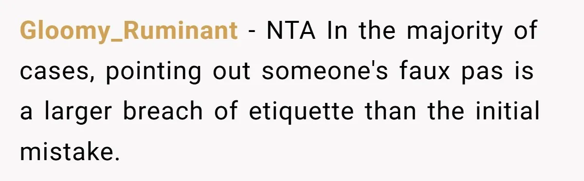 Gloomy_Ruminant − NTA In the majority of cases, pointing out someone's faux pas is a larger breach of etiquette than the initial mistake.
