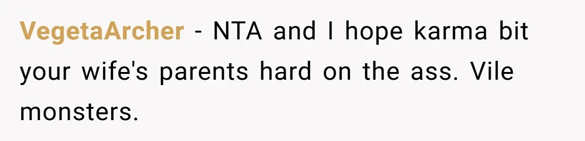 VegetaArcher − NTA and I hope karma bit your wife's parents hard on the ass. Vile monsters.