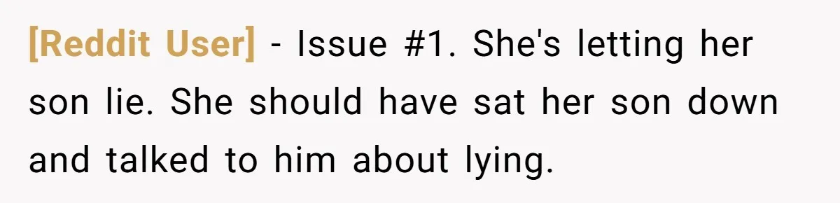 [Reddit User] − Issue #1. She's letting her son lie. She should have sat her son down and talked to him about lying.