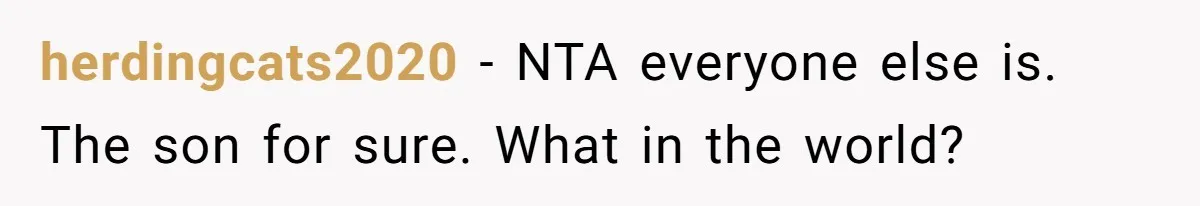 herdingcats2020 − NTA everyone else is. The son for sure. What in the world?
