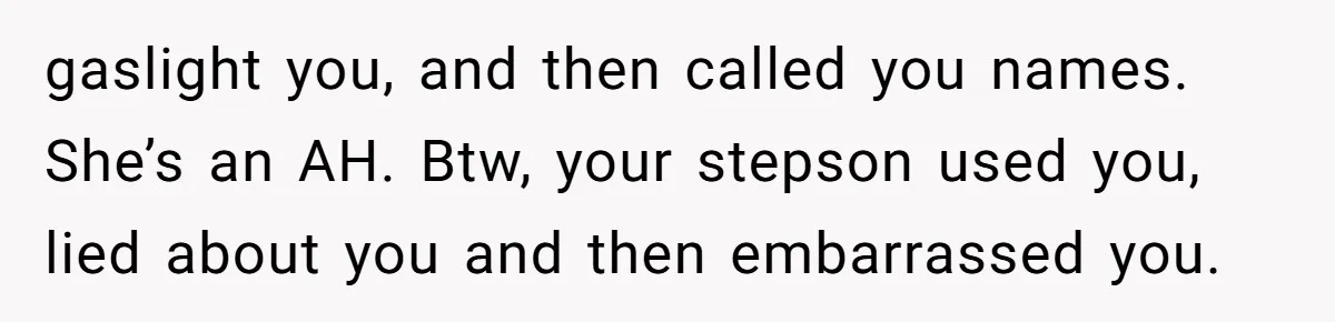 gaslight you, and then called you names. She’s an AH. Btw, your stepson used you, lied about you and then embarrassed you.