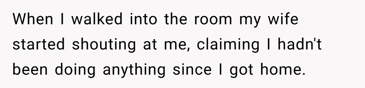 When I walked into the room my wife started shouting at me, claiming I hadn't been doing anything since I got home.