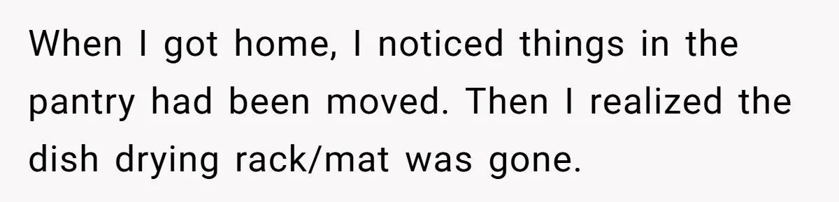 When I got home, I noticed things in the pantry had been moved. Then I realized the dish drying rack/mat was gone.