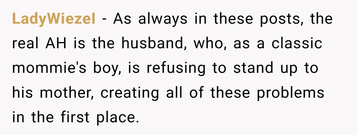 LadyWiezeI − As always in these posts, the real AH is the husband, who, as a classic mommie's boy, is refusing to stand up to his mother, creating all of...