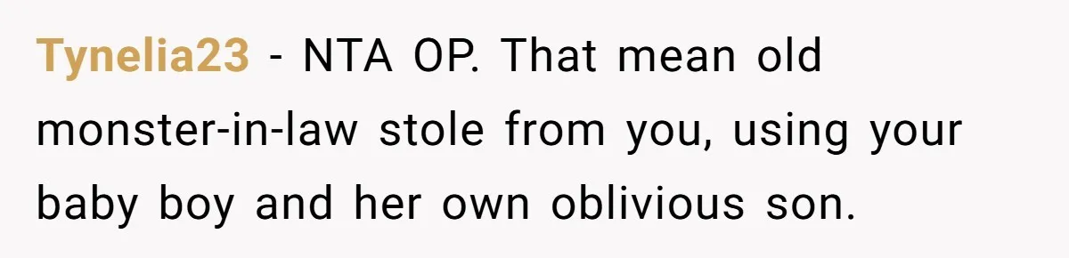 Tynelia23 − NTA OP. That mean old monster-in-law stole from you, using your baby boy and her own oblivious son.