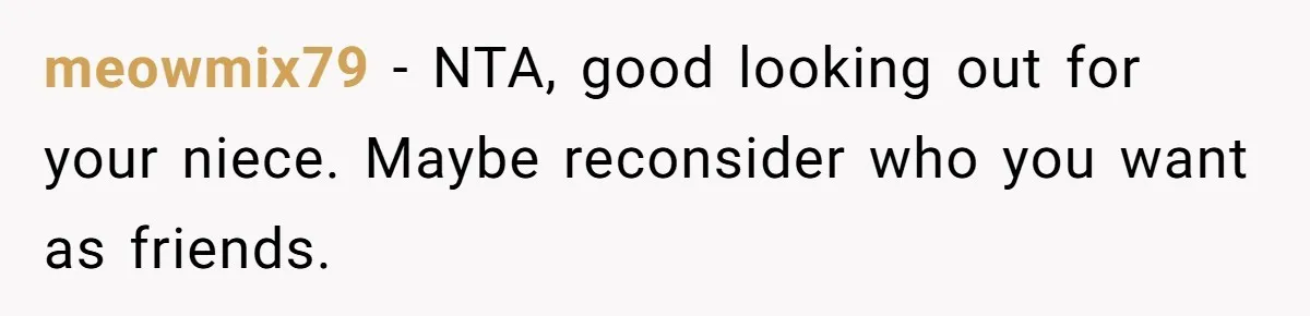 meowmix79 − NTA, good looking out for your niece. Maybe reconsider who you want as friends.