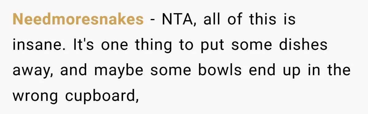 Needmoresnakes − NTA, all of this is insane. It's one thing to put some dishes away, and maybe some bowls end up in the wrong cupboard,