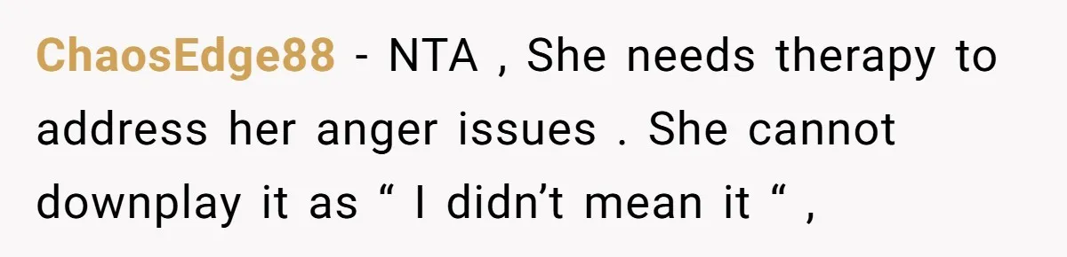 ChaosEdge88 − NTA , She needs therapy to address her anger issues . She cannot downplay it as “ I didn’t mean it “ ,