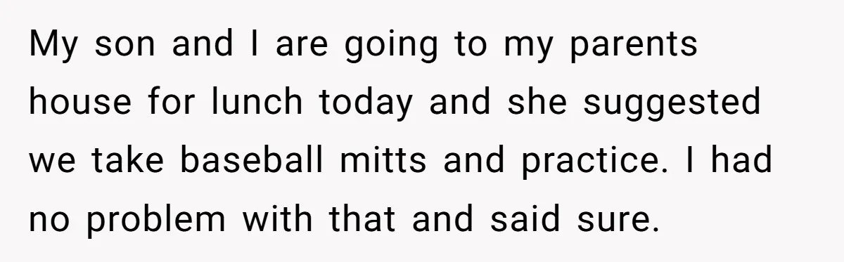 My son and I are going to my parents house for lunch today and she suggested we take baseball mitts and practice. I had no problem with that and said...