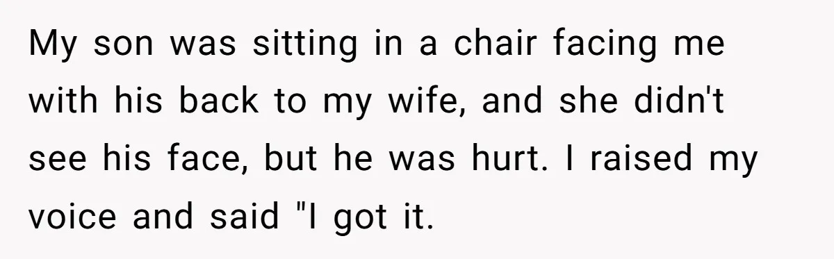 My son was sitting in a chair facing me with his back to my wife, and she didn't see his face, but he was hurt. I raised my voice and...