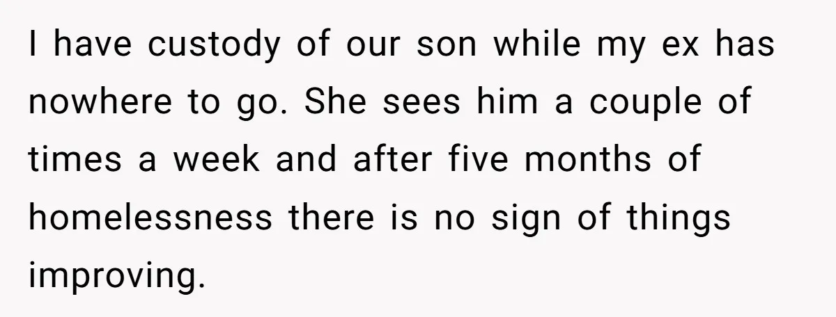 I have custody of our son while my ex has nowhere to go. She sees him a couple of times a week and after five months of homelessness there is...