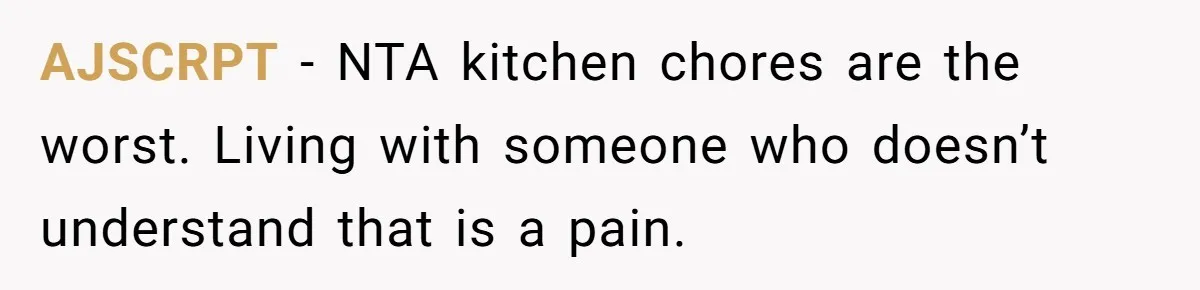 AJSCRPT − NTA kitchen chores are the worst. Living with someone who doesn’t understand that is a pain.
