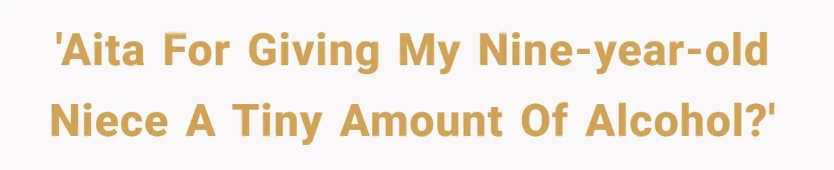 'AITA for giving my nine-year-old niece a TINY amount of alcohol?'
