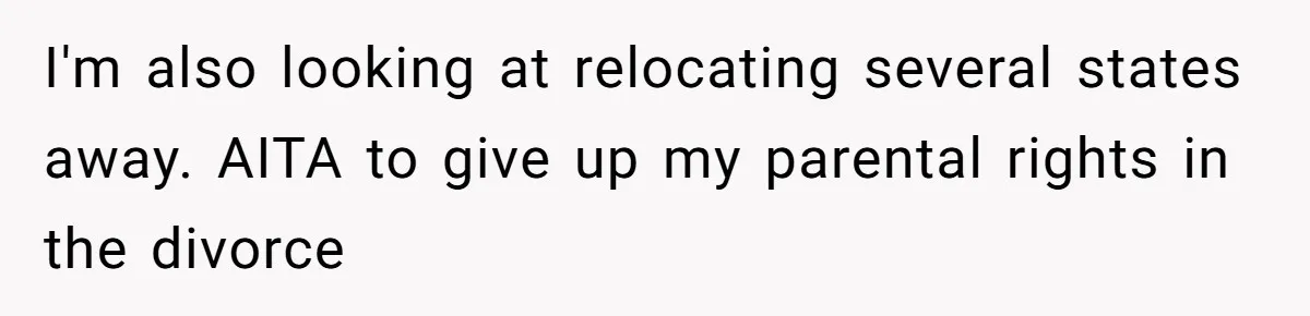 I'm also looking at relocating several states away. AITA to give up my parental rights in the divorce