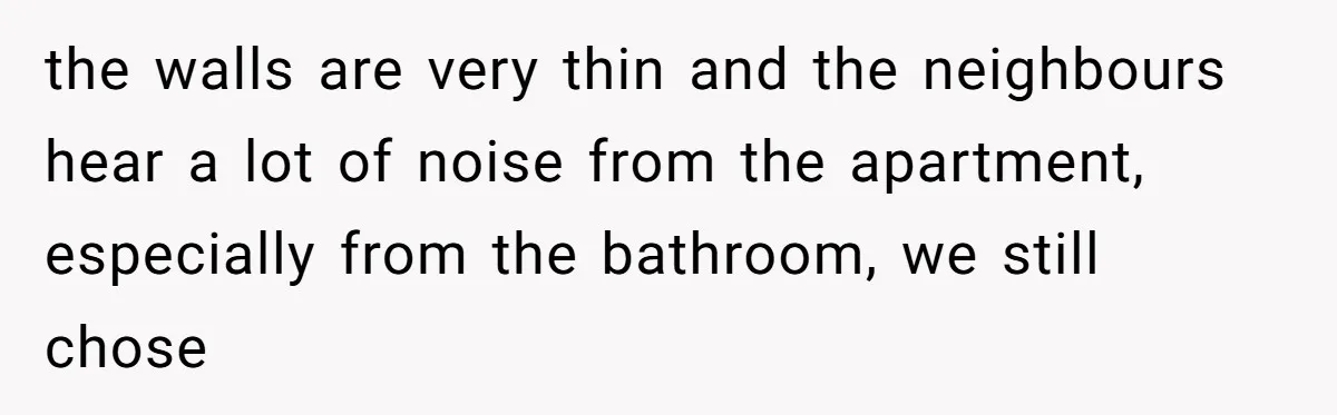 the walls are very thin and the neighbours hear a lot of noise from the apartment, especially from the bathroom, we still chose