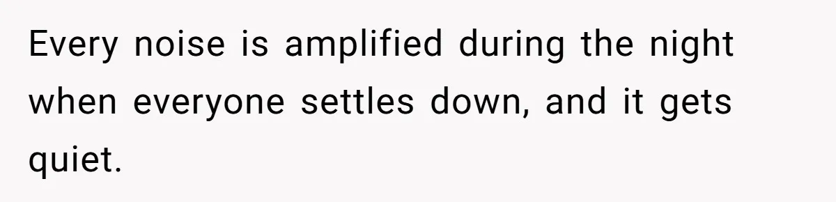 Every noise is amplified during the night when everyone settles down, and it gets quiet.