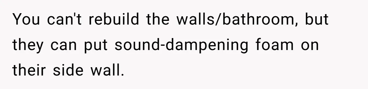 You can't rebuild the walls/bathroom, but they can put sound-dampening foam on their side wall.