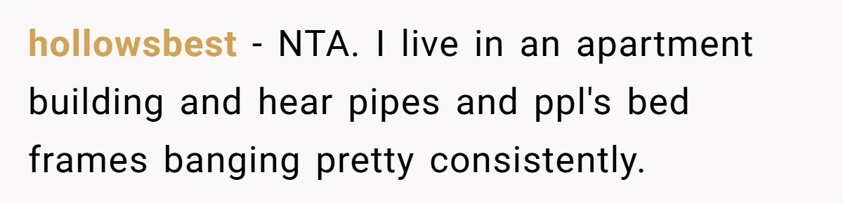 hollowsbest − NTA. I live in an apartment building and hear pipes and ppl's bed frames banging pretty consistently.