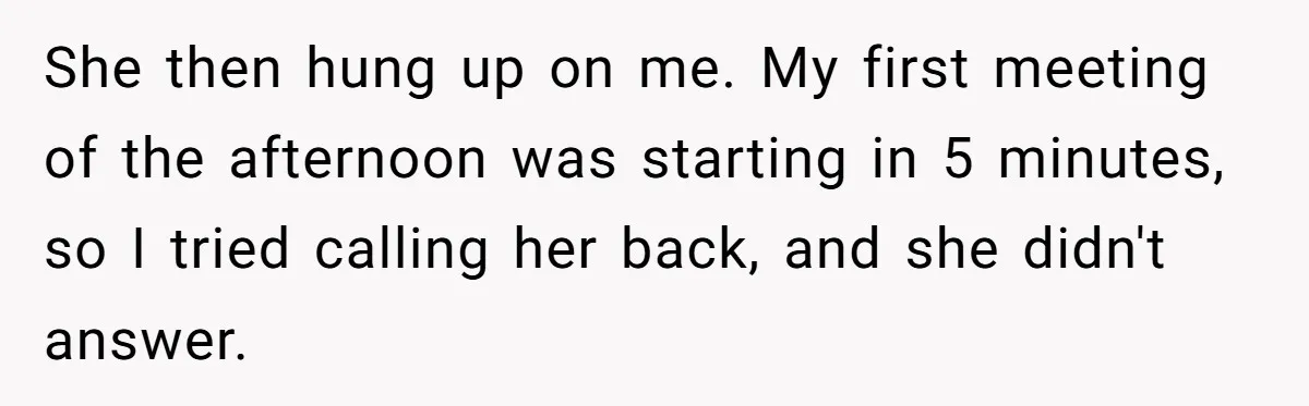 She then hung up on me. My first meeting of the afternoon was starting in 5 minutes, so I tried calling her back, and she didn't answer.