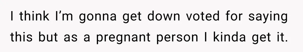 I think I’m gonna get down voted for saying this but as a pregnant person I kinda get it.