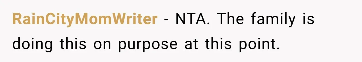 RainCityMomWriter − NTA. The family is doing this on purpose at this point.