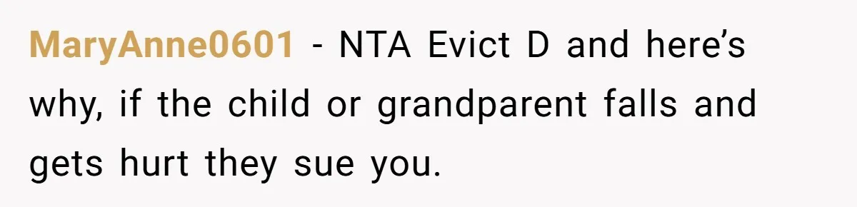 MaryAnne0601 − NTA Evict D and here’s why, if the child or grandparent falls and gets hurt they sue you.