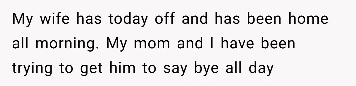 My wife has today off and has been home all morning. My mom and I have been trying to get him to say bye all day