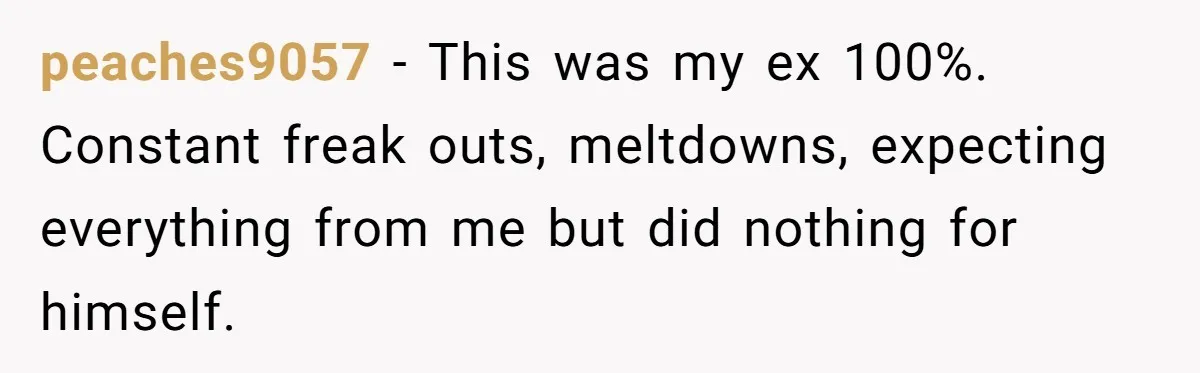 peaches9057 − This was my ex 100%. Constant freak outs, meltdowns, expecting everything from me but did nothing for himself.
