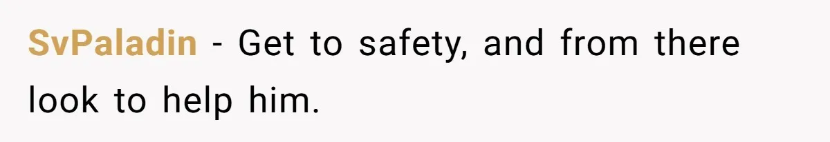 SvPaladin − Get to safety, and from there look to help him.